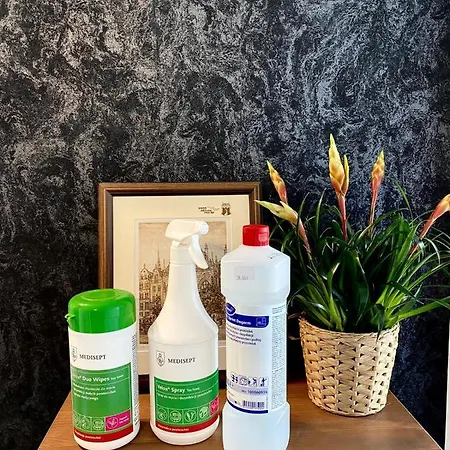 Wakacyjny U Adrianny Апартаменты *